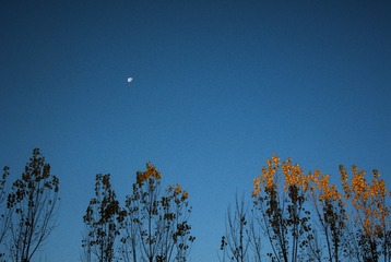 IMG_3544-CS