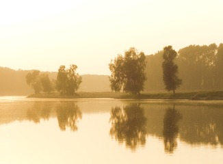 IMG_1205-CS