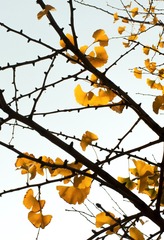 IMG_3418-CS