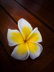 IMG_6070-CS