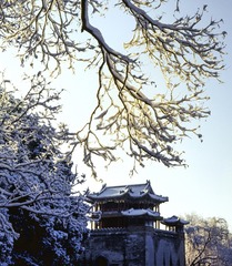 大图ZP048-002-SF-CS