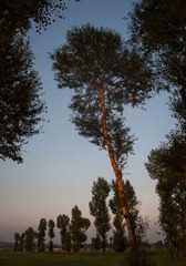 IMG-01_8371-CS-20120805-大同右玉