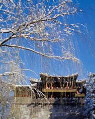大图ZP049-003-SF-CS