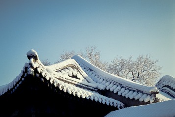 大图ZP047-010-SF-CS
