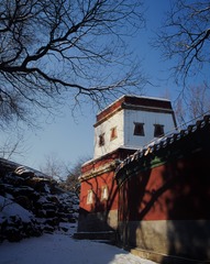 大图ZP066-009-SF-CS