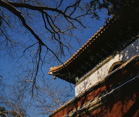 大图ZP065-016-SF-CS