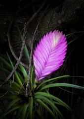 IMG_1266-CS