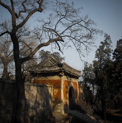 IMG_2525-CS