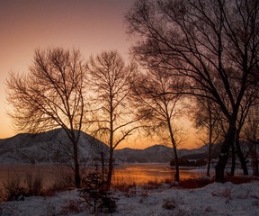 IMG_6915-CS