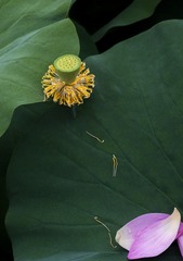 IMG_0316-CS