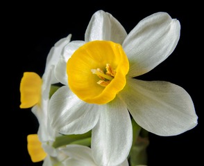 IMG_3946-CS