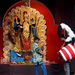 OL170085.jpg