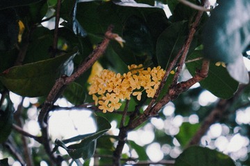 81DB4C26-DF45-46F9-9408-1413A10788F3/L0/001