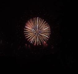 1000056869
