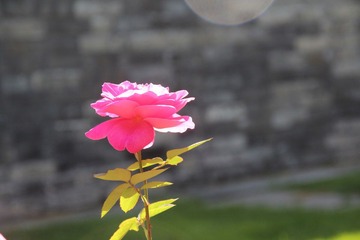 IMG_2788.JPG