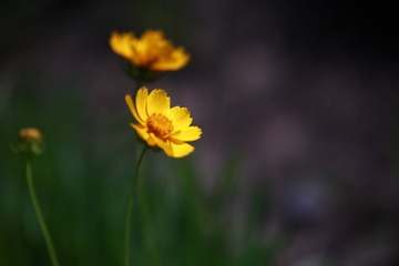 1000032586