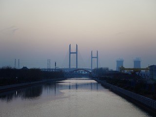 1000067165