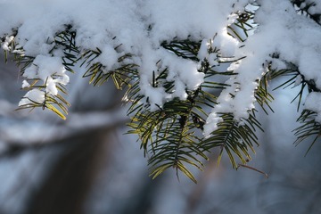 _DSC9178