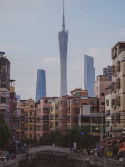 1000095510