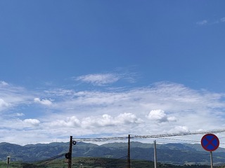 1000025242