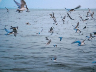 760A8B8B-2D38-48DA-9B01-27F710B11B0D/L0/001