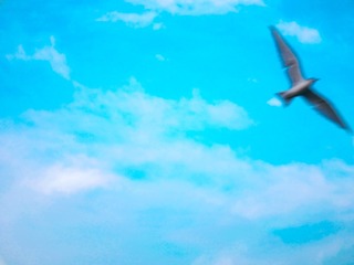 D2613EE8-85B6-458A-8CDF-713A71CEF020/L0/001