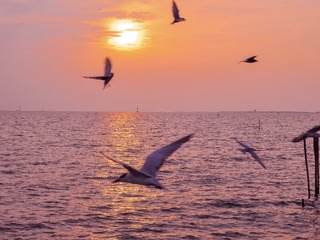 A3810763-056D-4AD0-B62B-AD40FF1E61CF/L0/001
