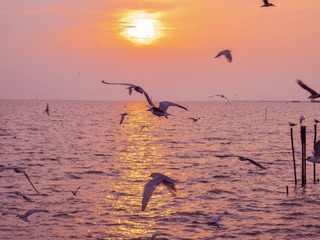 6F517312-F76E-4092-A8E8-283FC105D0B2/L0/001