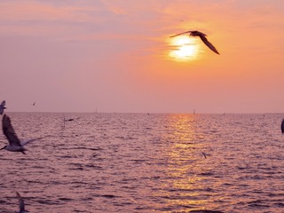FA873881-D826-4B3B-A649-21588B8AE924/L0/001