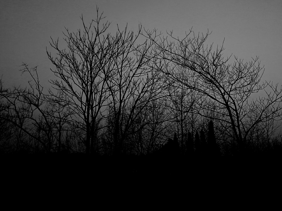 冬天了想家了,站在房顶上看着天一点点黑去.