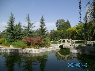 PICT0028.JPG