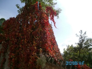 PICT0036.JPG