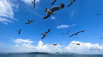 A344BB15-B6FB-424D-89F8-0D2AA37EB4D8/L0/001