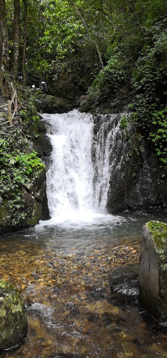 山泉美景,水清见底.