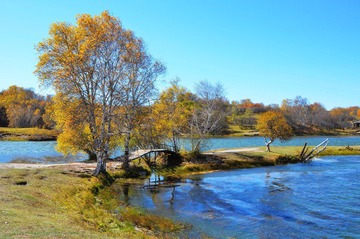 000_4491.JPG