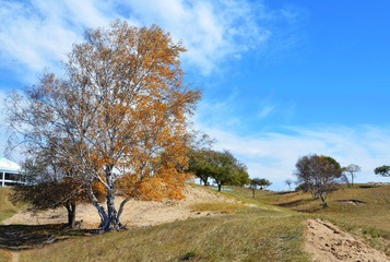 000_4496.JPG