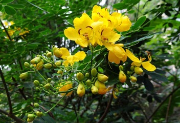 DSC05221.JPG