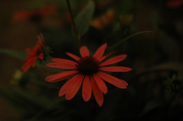 140583