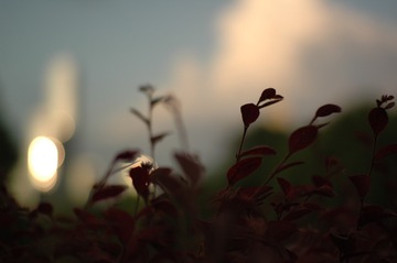 140418