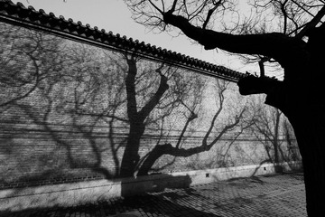 IMG_0867-编辑.jpg