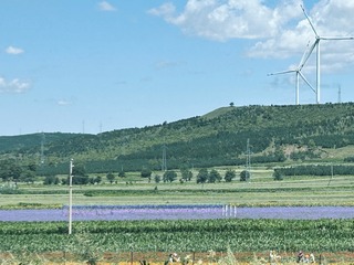 D1267FF2-E2CA-4D7F-92A8-513BF6A556F3/L0/001