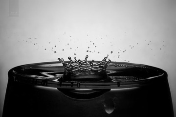 _DSC1306