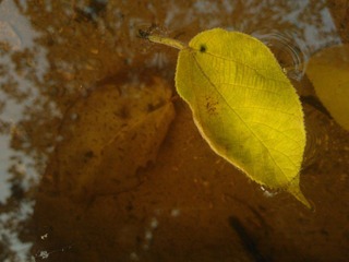 WP_001501.jpg