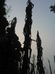 WP_001480.jpg