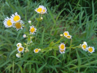 WP_001352.jpg