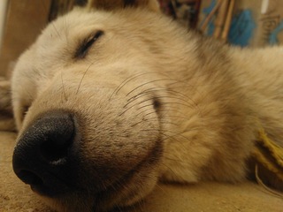 WP_001227.jpg