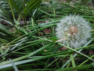 WP_001103.jpg