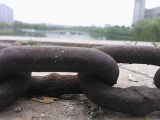 WP_001165.jpg