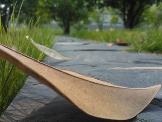 WP_001075.jpg