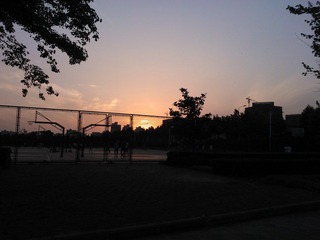 WP_001139.jpg